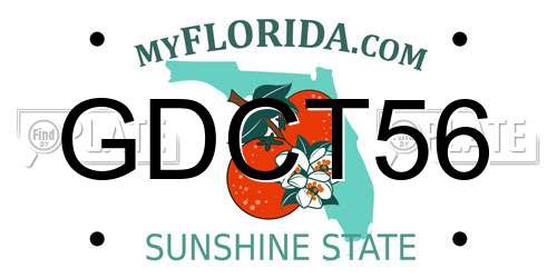 GDCT56 Florida License Plate