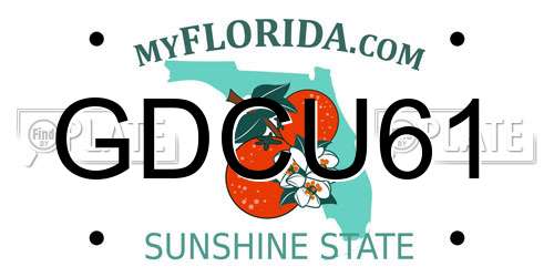 GDCU61 Florida License Plate