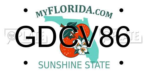 GDCV86 Florida License Plate