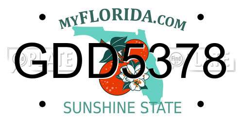 GDD5378 Florida License Plate