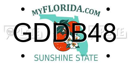 GDDB48 Florida License Plate