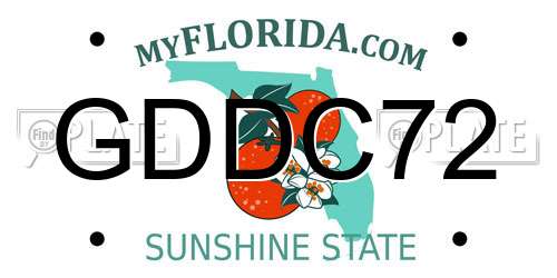 GDDC72 Florida License Plate