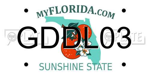 GDDL03 Florida License Plate