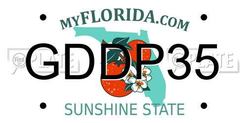 GDDP35 Florida License Plate