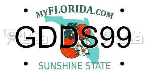 GDDS99 Florida License Plate
