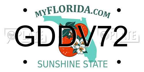 GDDV72 Florida License Plate