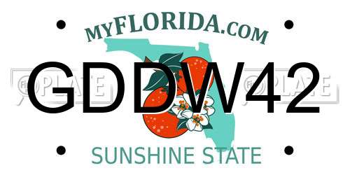 GDDW42 Florida License Plate