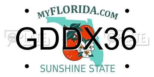 GDDX36 Florida License Plate