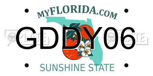 GDDY06 Florida License Plate