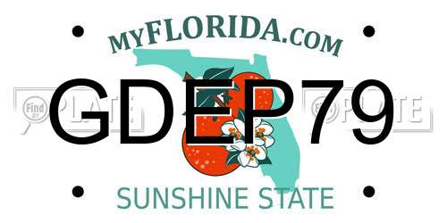 GDEP79 Florida License Plate