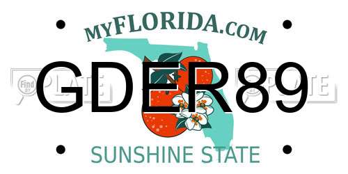 GDER89 Florida License Plate