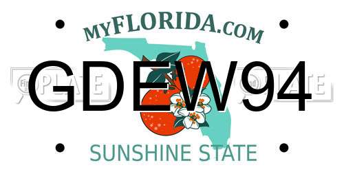 GDEW94 Florida License Plate
