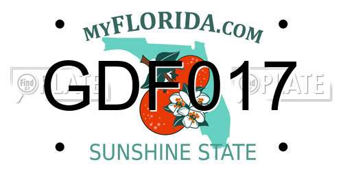GDF017 Florida License Plate