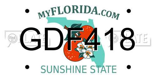 GDF418 Florida License Plate