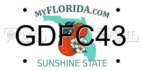 GDFC43 Florida License Plate