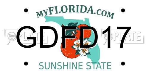 GDFD17 Florida License Plate