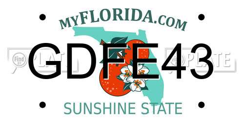 GDFE43 Florida License Plate