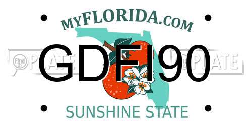 GDFI90 Florida License Plate