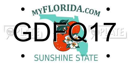 GDFQ17 Florida License Plate