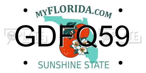 GDFQ59 Florida License Plate