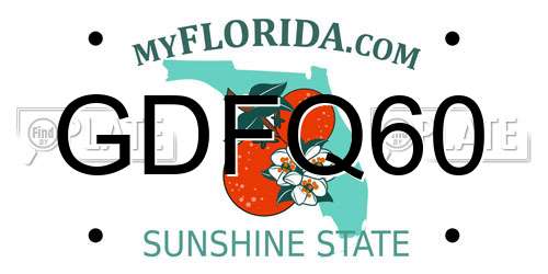 GDFQ60 Florida License Plate