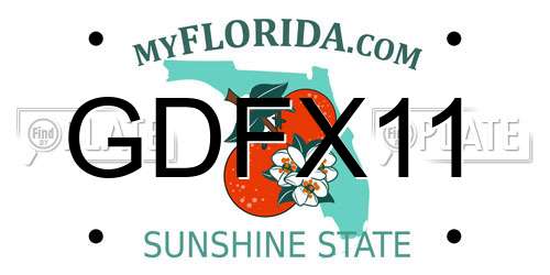 GDFX11 Florida License Plate