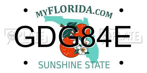 GDG84E Florida License Plate