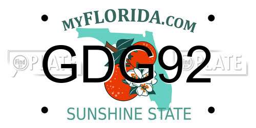 GDG92 Florida License Plate