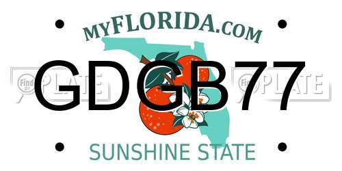 GDGB77 Florida License Plate
