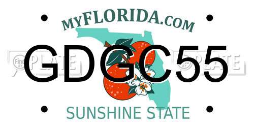 GDGC55 Florida License Plate