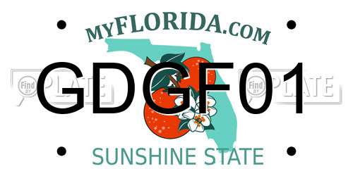 GDGF01 Florida License Plate