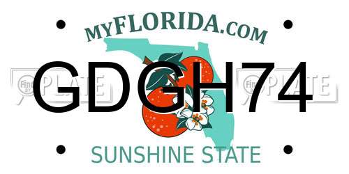 GDGH74 Florida License Plate