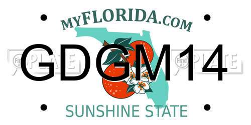 GDGM14 Florida License Plate