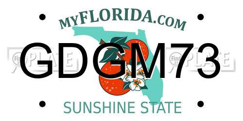 GDGM73 Florida License Plate