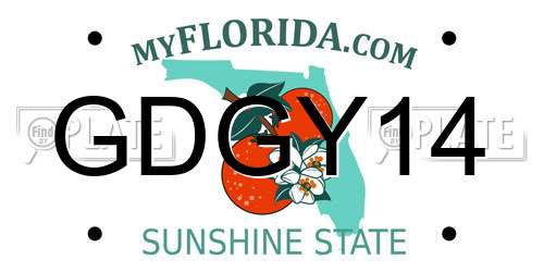 GDGY14 Florida License Plate