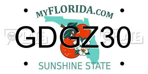 GDGZ30 Florida License Plate
