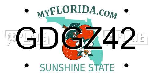 GDGZ42 Florida License Plate