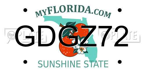 GDGZ72 Florida License Plate