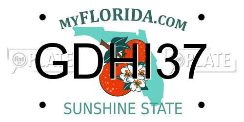 GDHI37 Florida License Plate
