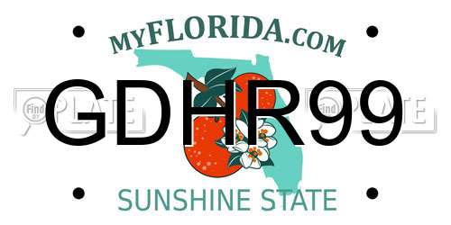 GDHR99 Florida License Plate