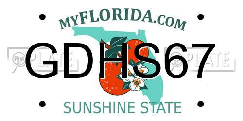 GDHS67 Florida License Plate
