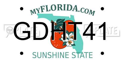 GDHT41 Florida License Plate