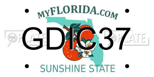 GDIC37 Florida License Plate
