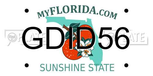 GDID56 Florida License Plate