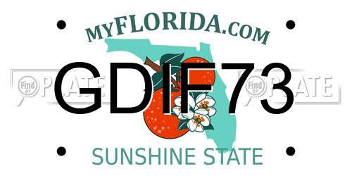 GDIF73 Florida License Plate
