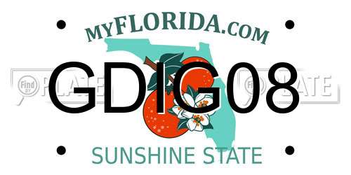GDIG08 Florida License Plate