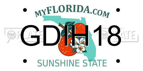 GDIH18 Florida License Plate