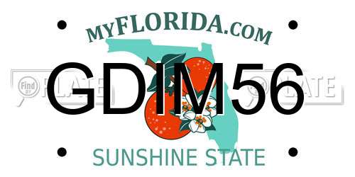 GDIM56 Florida License Plate