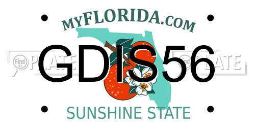 GDIS56 Florida License Plate
