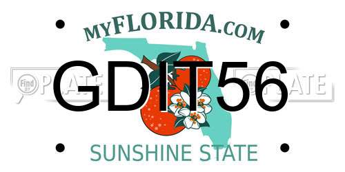 GDIT56 Florida License Plate